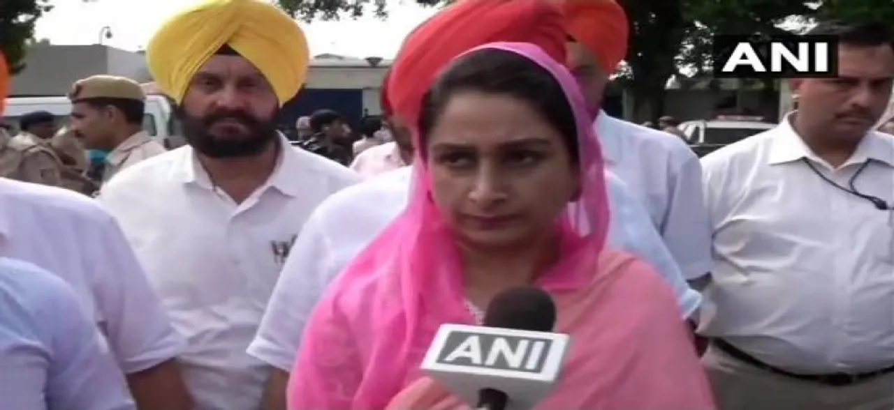 राहुल के बचाव में उतरे अमरिंदर सिंह पर हरसिमरत का वार, कहा- सिख होने के नाते चुल्लू भर पानी में डूब मरें