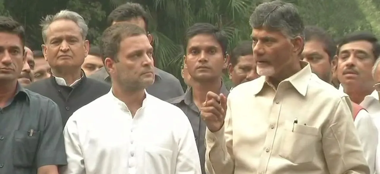 मुलाकात के बाद राहुल गांधी और नायडू बोले, बीजेपी को हराने के लिए आए साथ