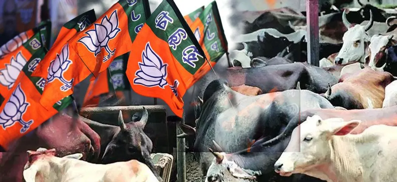 तेलंगाना विधानसभा चुनाव के लिए BJP ने जारी किया घोषणा पत्र, हर साल एक लाख गाय बांटने की तैयारी
