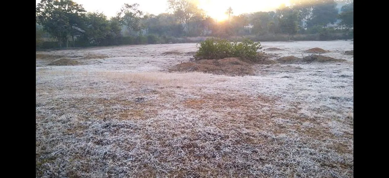 होशंगाबाद के हिल स्टेशन पचमढ़ी में 1 डिग्री पर आया पारा, ठिठुरा मध्‍य प्रदेश