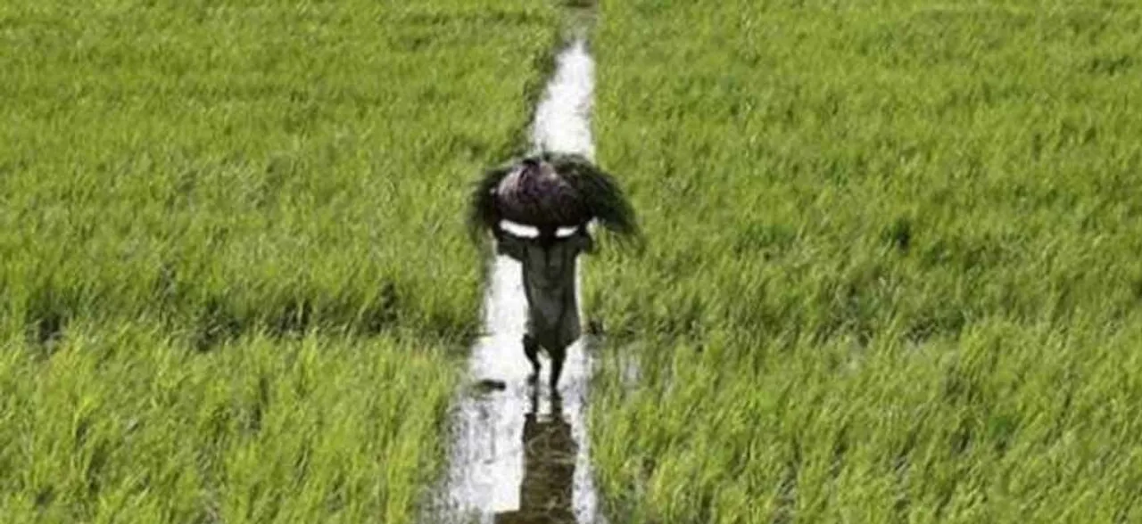 मध्य प्रदेश में कमलनाथ सरकार ने बैठक में किसानों की कर्जमाफी पर लगाई मुहर