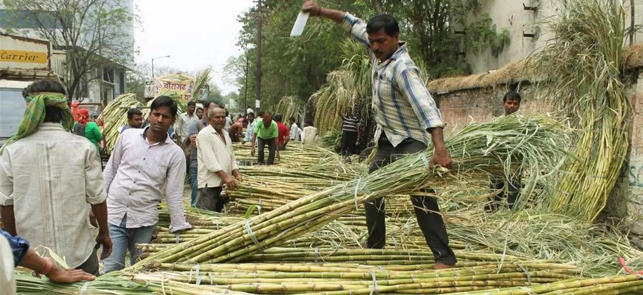 चीनी मिलों पर गन्ना किसानों का 19,000 करोड़ रुपये बकाया