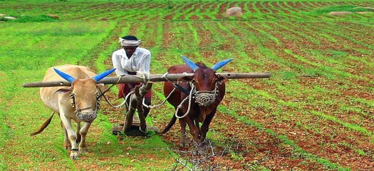 मध्य प्रदेश: कर्जमाफी प्रक्रिया के दौरान आईं 25 हजार शिकायतें, फ़र्ज़ी तरीके से कर्ज लेने के खिलाफ कार्रवाई का फैसला