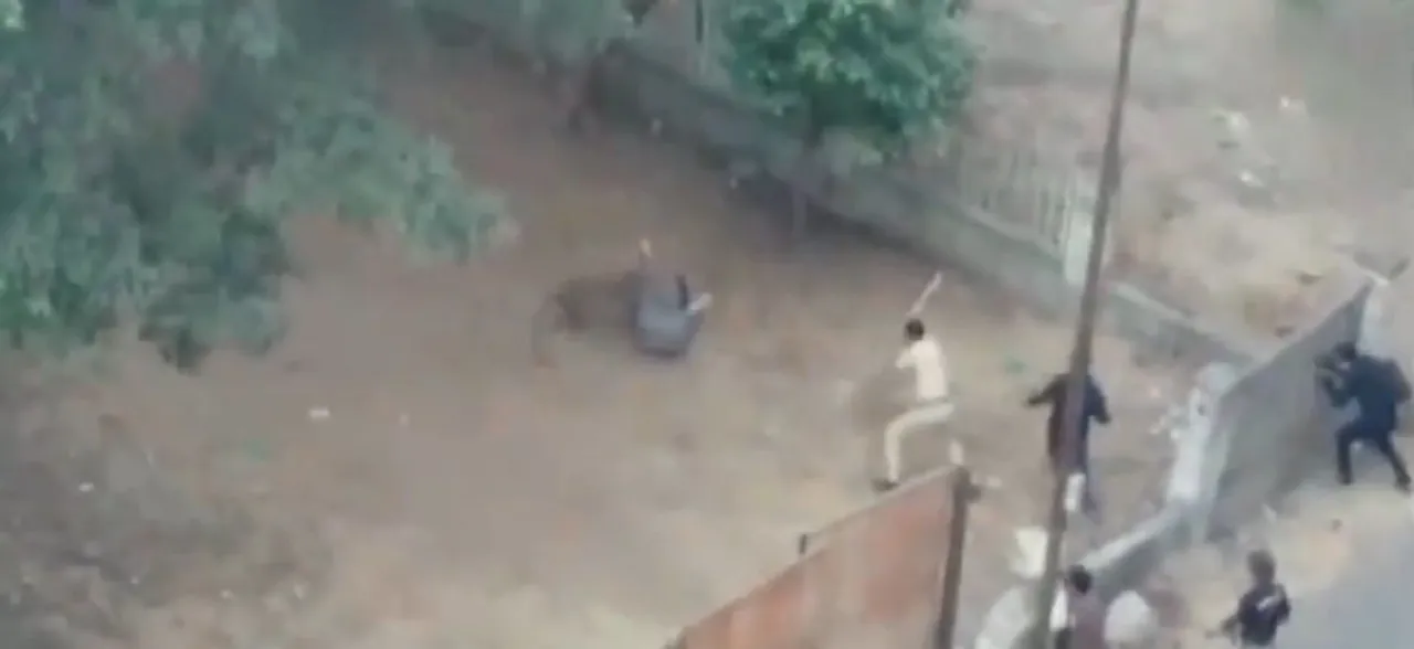 महाराष्ट्र: वीडियो में देखें जब भीड़भाड़ इलाके में घुसा तेंदुआ, हमले में तीन लोग घायल