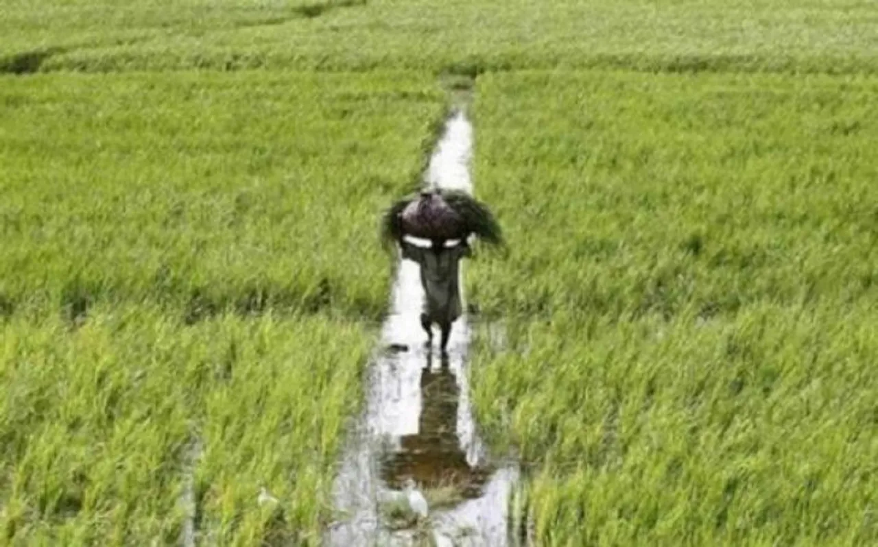 किसान आय सहयोग 12000 रुपये सालाना होना चाहिए: देविंदर शर्मा