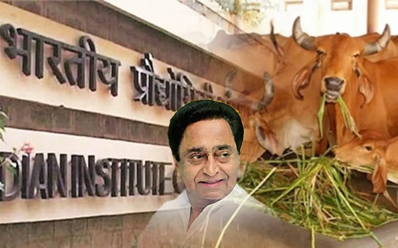 मध्य प्रदेश : भारतीय प्रौद्योगिकी संस्थान (IIT) और राष्ट्रीय प्रौद्योगिकी संस्थान (NIT) करेंगे गौ-शाला परियोजना में मदद