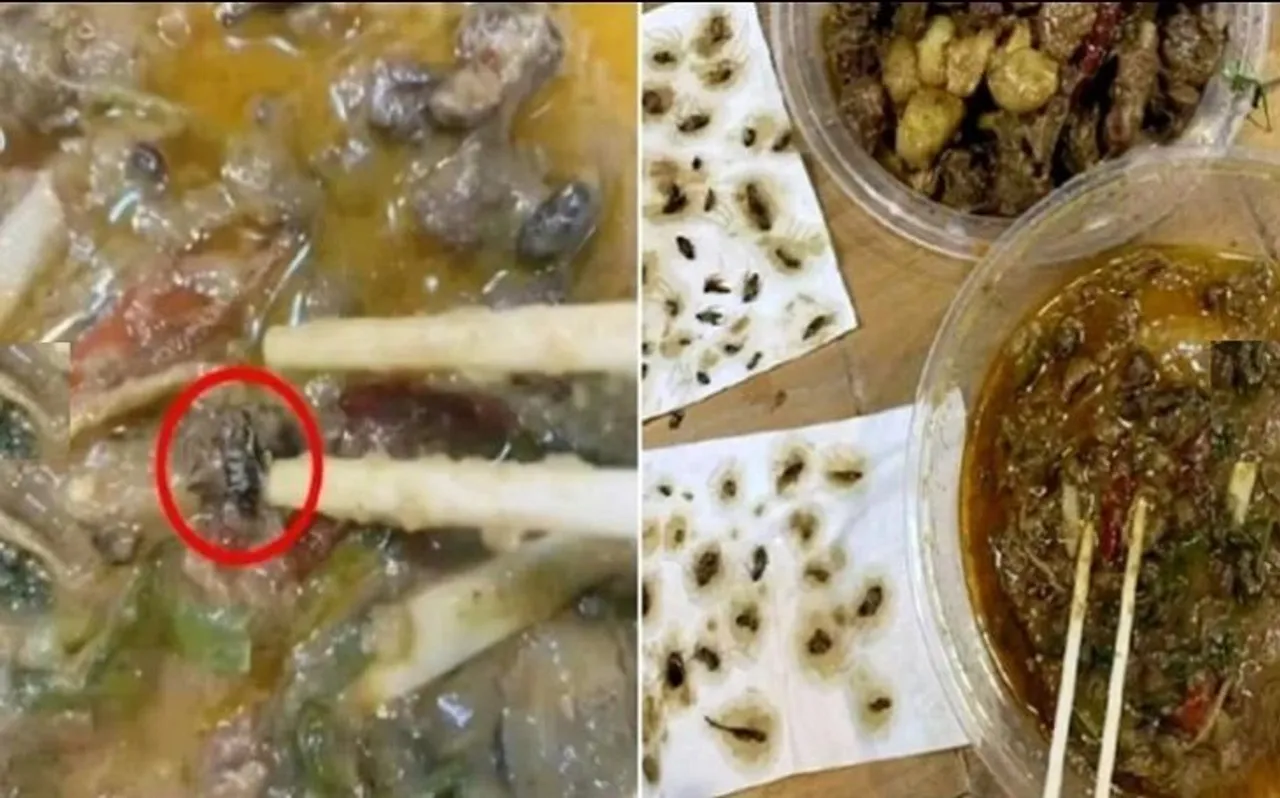 महिला ने दोस्तों को पार्टी देने के लिए Online मंगवाया था खाना, पैकेट खोलते ही दिखा ऐसा नजारा.. उड़ गए होश