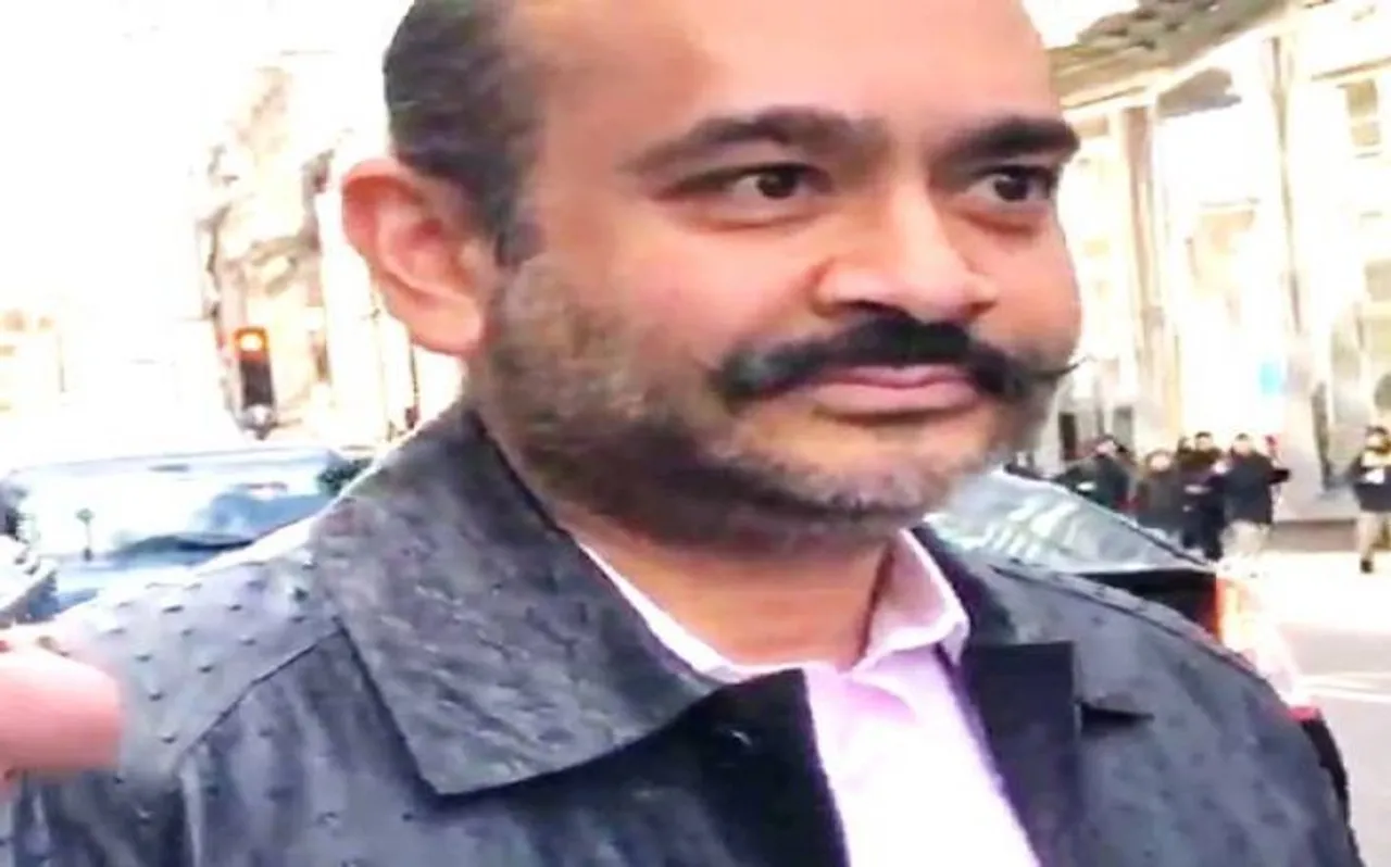 करोड़ों रुपये में बिकी नीरव मोदी की पेंटिंग्स, जानें क्या है खासियत
