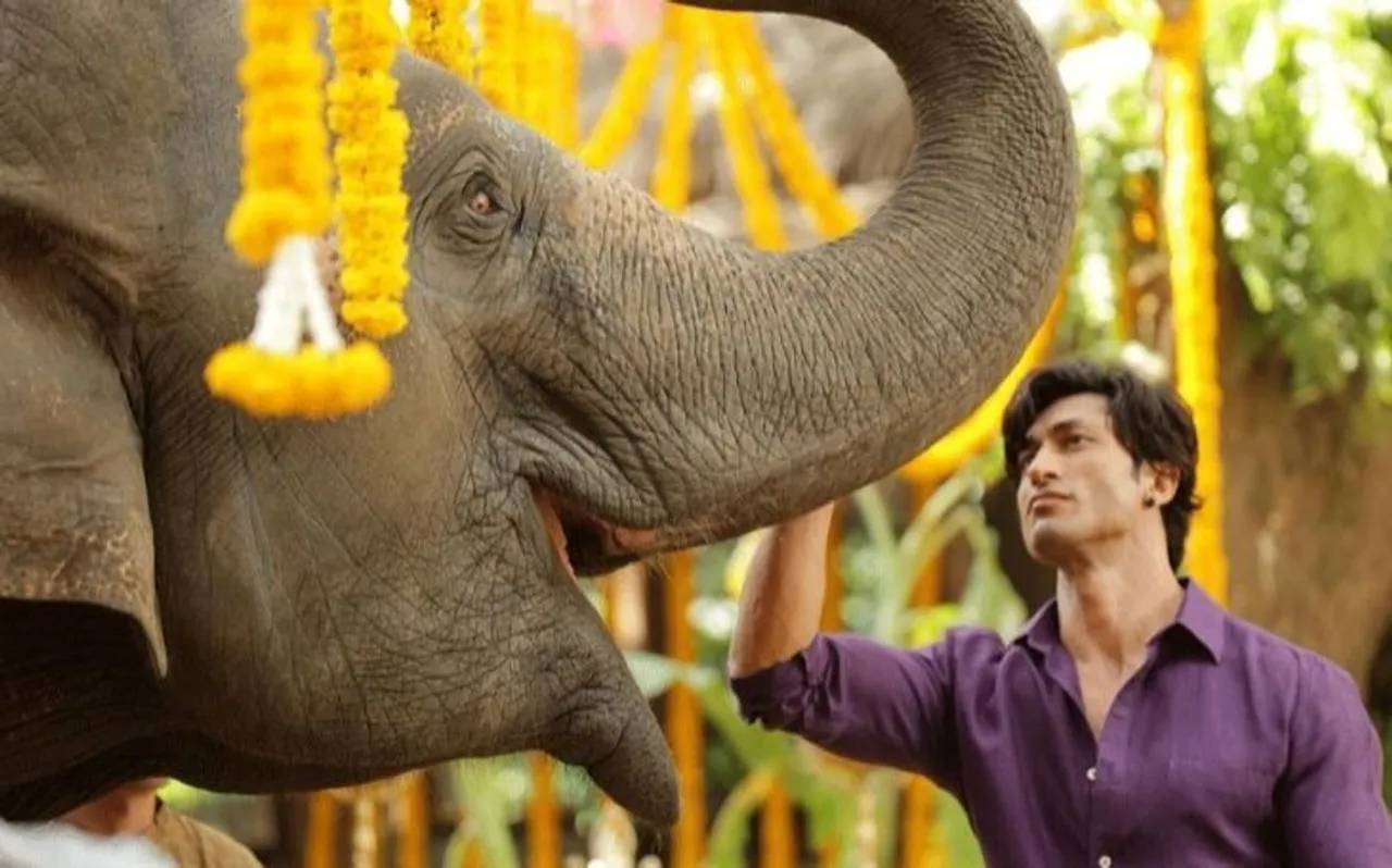 बॉक्स ऑफिस पर 'जंगली' ने दिखाई रफ्तार, दूसरे दिन की कमाई शानदार