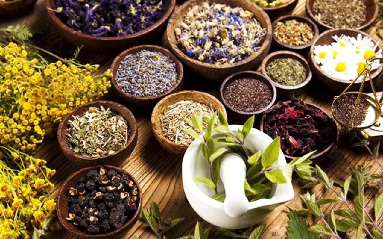 Medicinal Plants Farming: सरकारी नौकरी छोड़कर इस बिजनेस में आजमाया हाथ, दुनिया के लिए खड़ी कर दी मिसाल