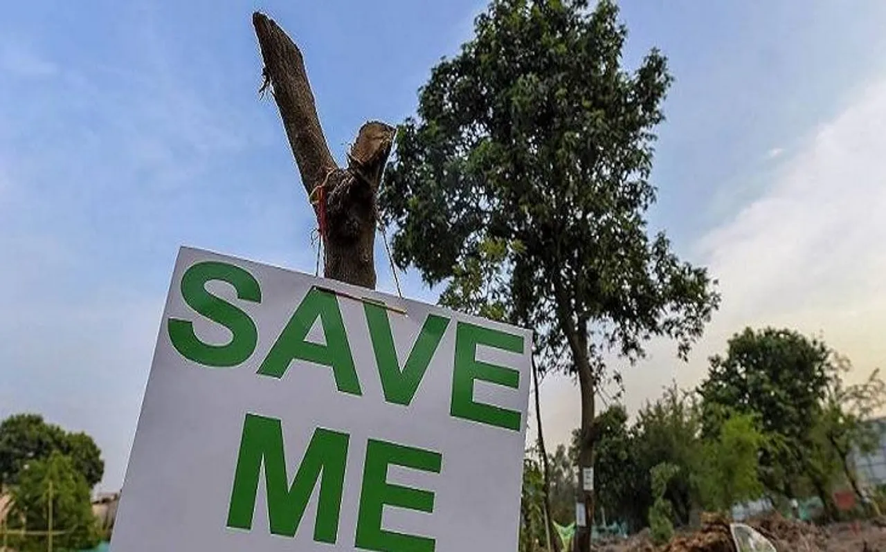 World Environment Day 2019: तेजी से खत्म हो रहे है जंगल, हो जाए सावधान