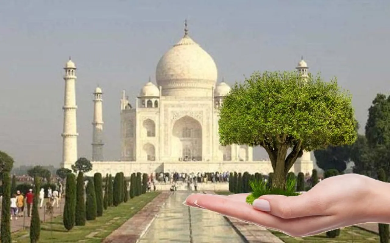 आगरा में इस मानसून लगाए जाएंगे एक करोड़ से अधिक पौधे