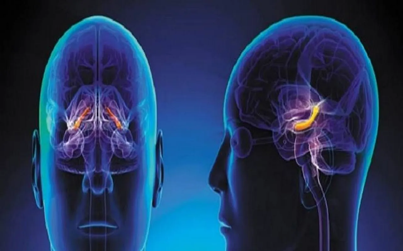 सावधान! तेजी से बढ़ रहा है Brain tumor, जानें इसके लक्षण और इलाज