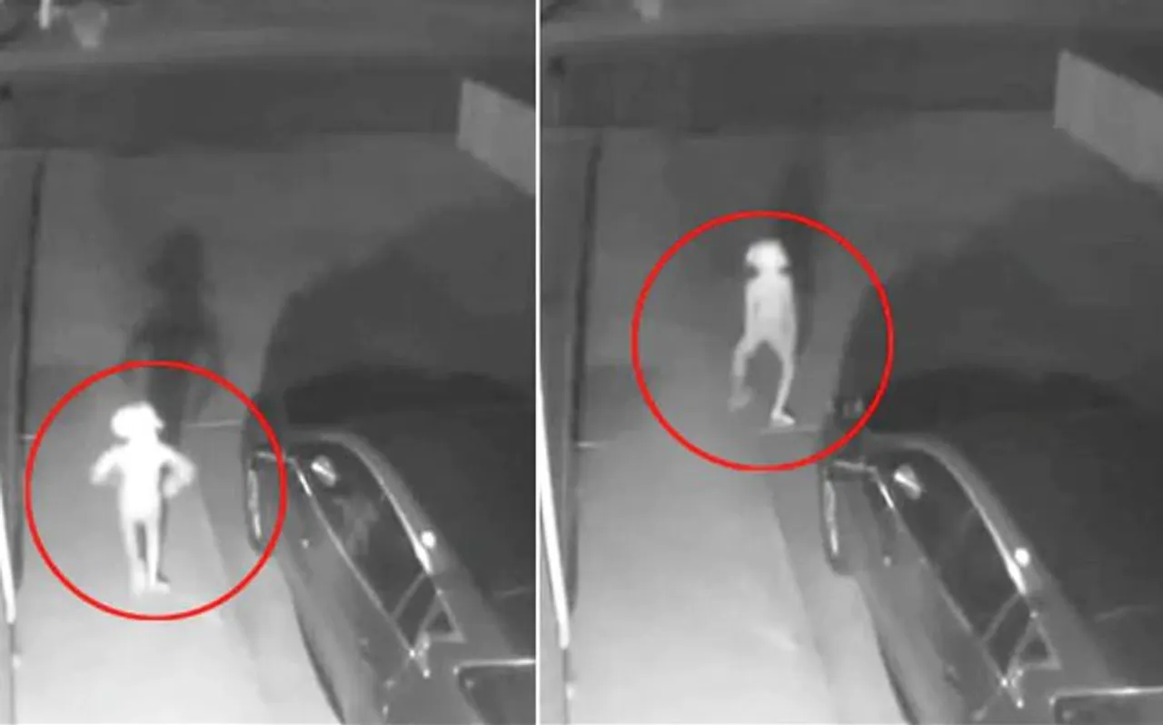 CCTV में कैद हुआ अजीबोगरीब प्राणी, कहीं ये एलियन तो नहीं, आप भी देखें VIDEO