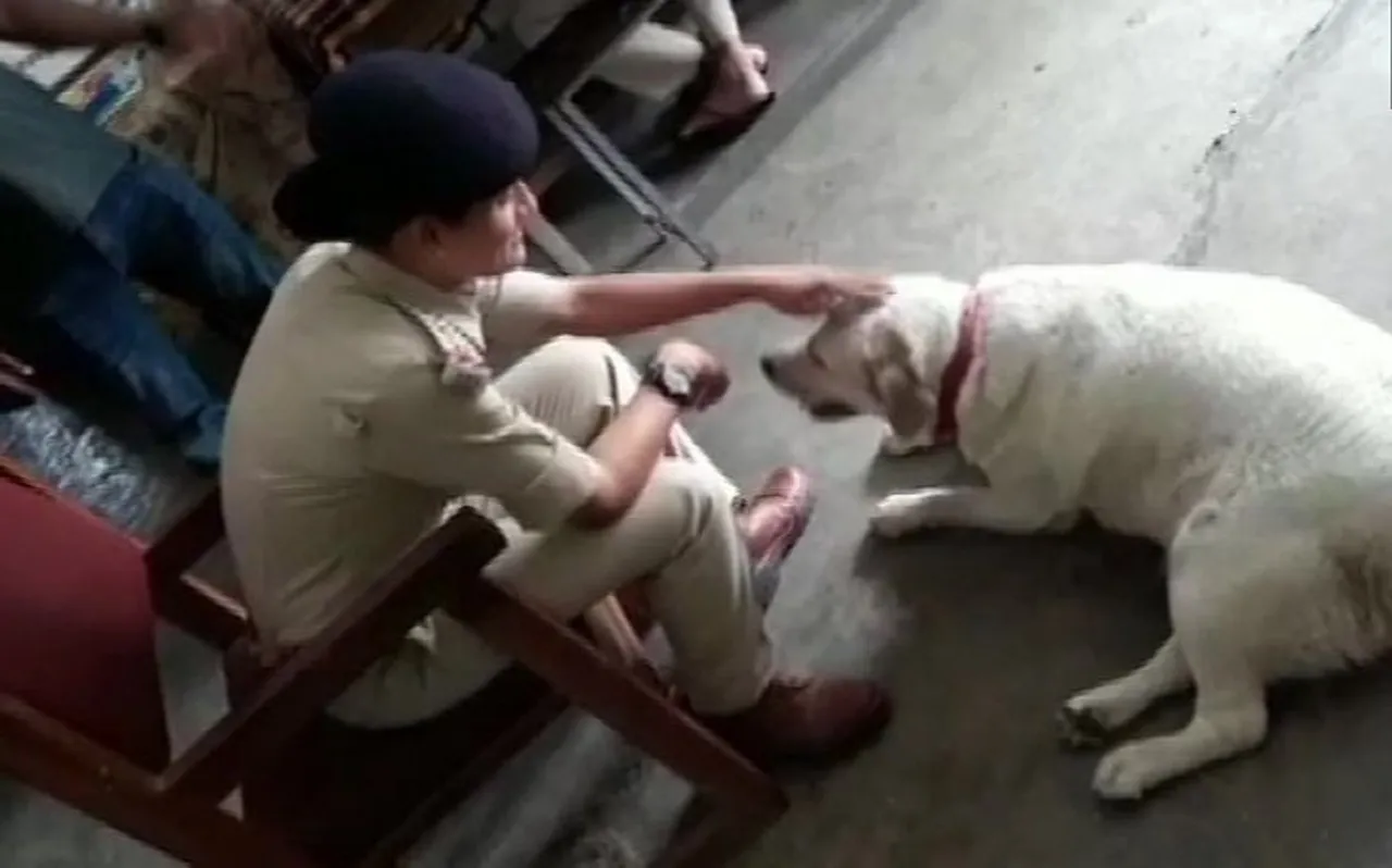 पुलिस चौकी बना कुत्ते 'सुल्तान' का आशियाना, पुलिसवाले कर रहे हैं खातिरदारी, जानें क्यों