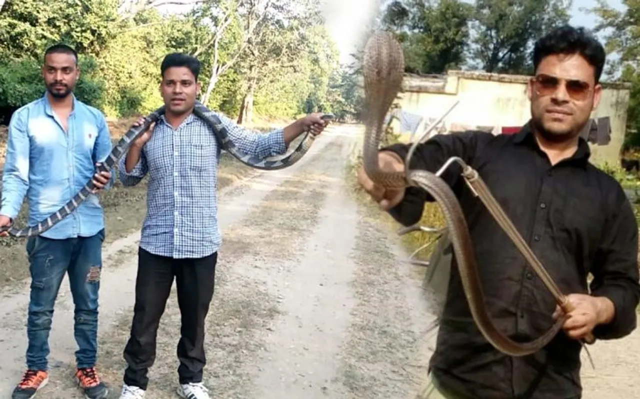 बारिश के मौसम मे यहां निकलते हैं बंपर सांप, ऐसे करते हैं रेस्क्यू
