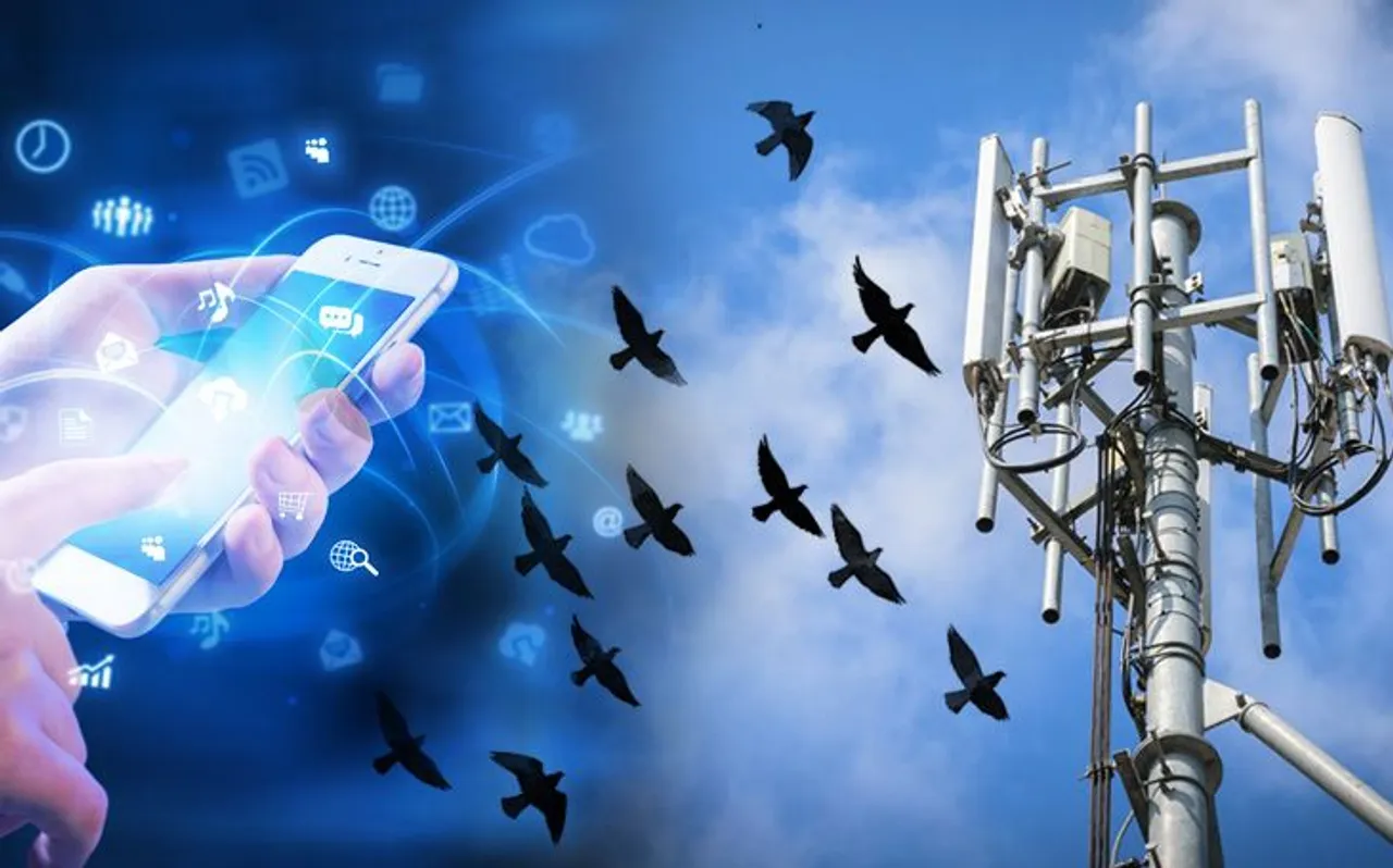 जानें कितना खतरनाक साबित हो सकता है 5G, परीक्षण के दौरान कई पक्षियों ने गवाई जान