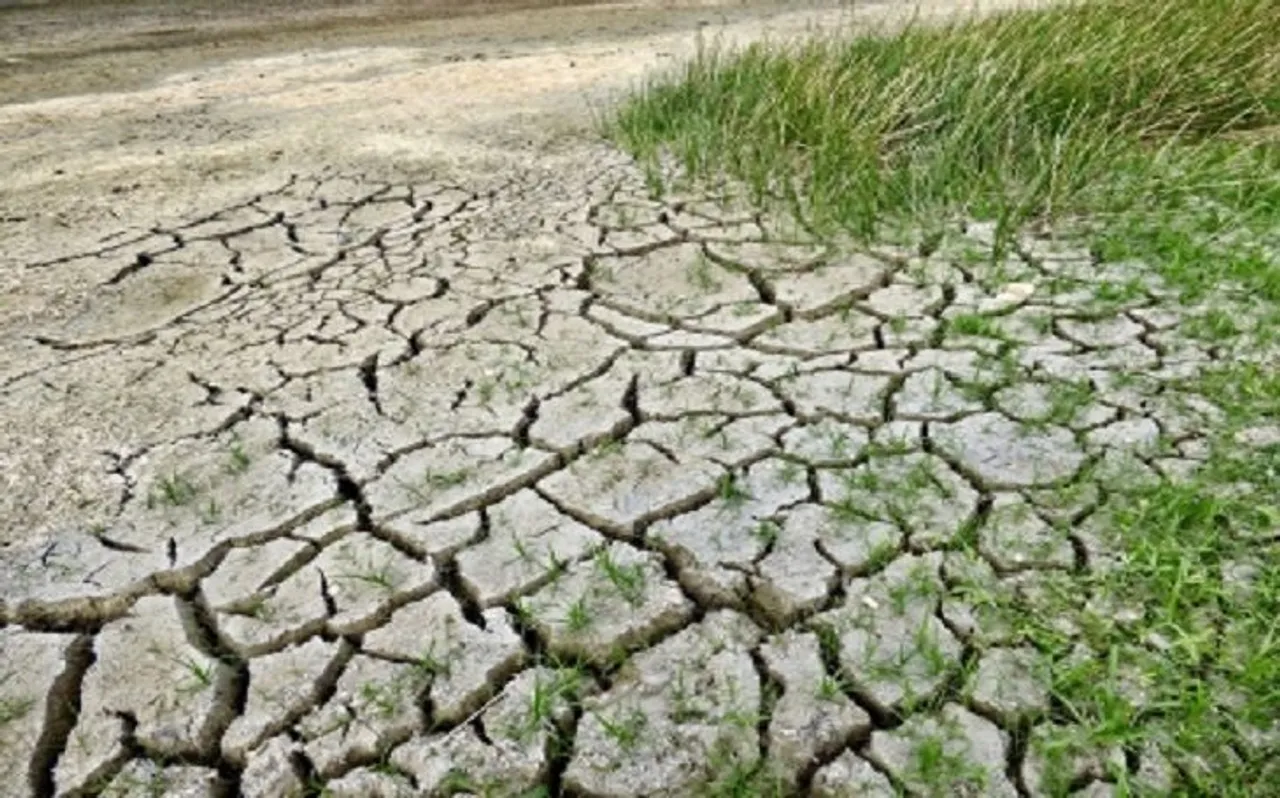 कम बारिश की वजह से छत्तीसगढ़ के 20 जिलों पर सूखे की छाया, वैकल्पिक फैसलों पर जोर