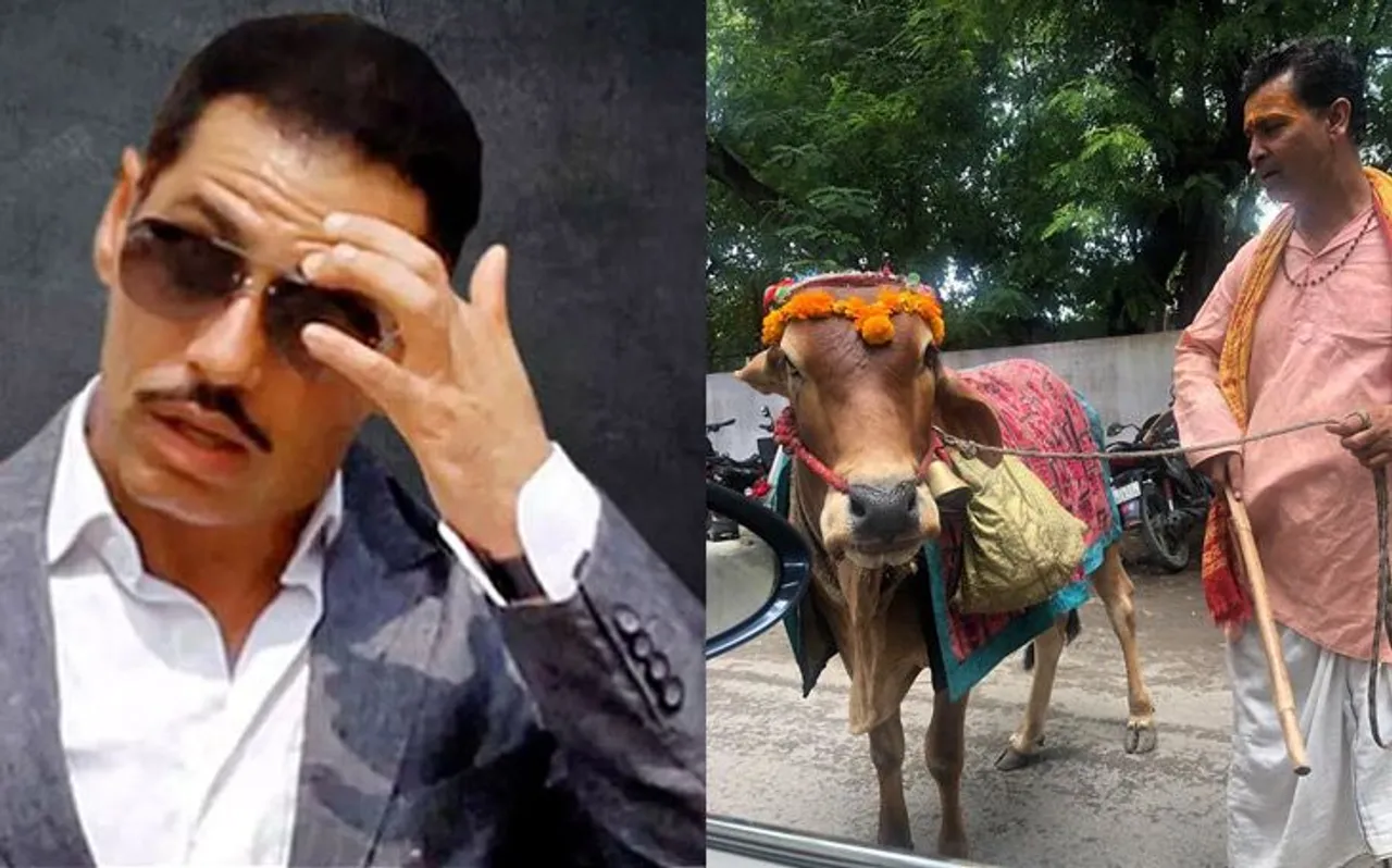 Robert Vadra को मिली है भविष्य बताने वाली गाय, सोशल मीडिया पर शेयर की ये तस्वीर
