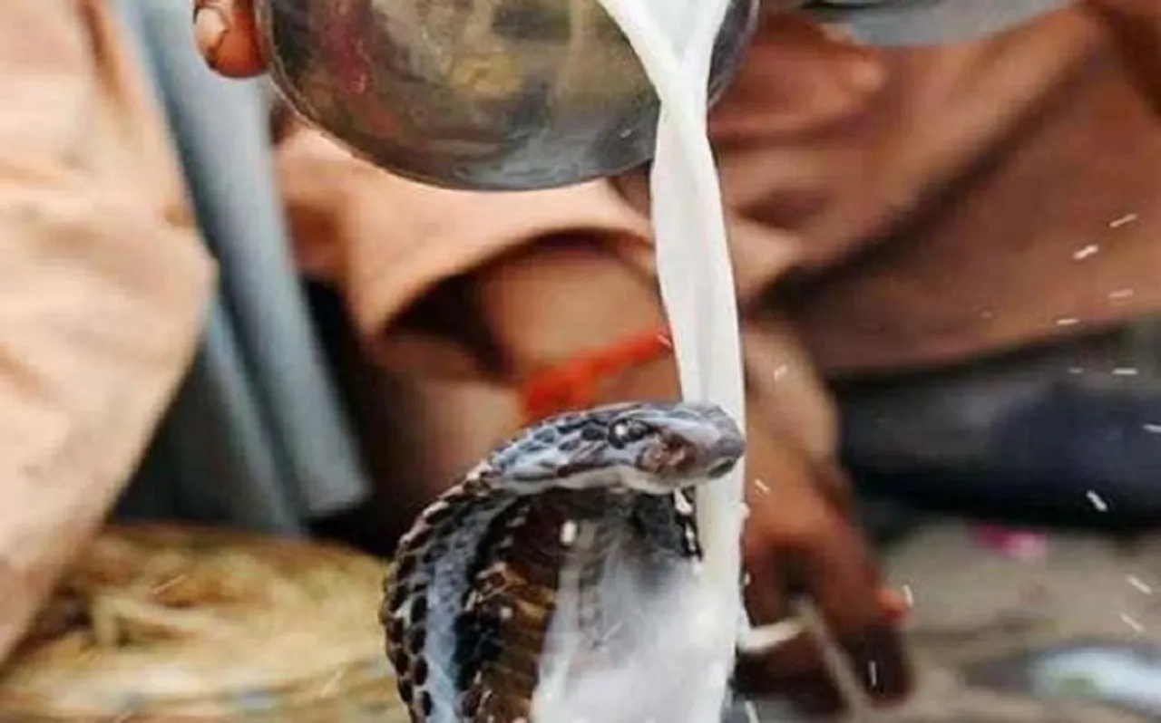 Nag Panchami 2019: इस बार नागपंचमी पर बन रहा यह दुर्लभ योग, ऐसे करें पूजा