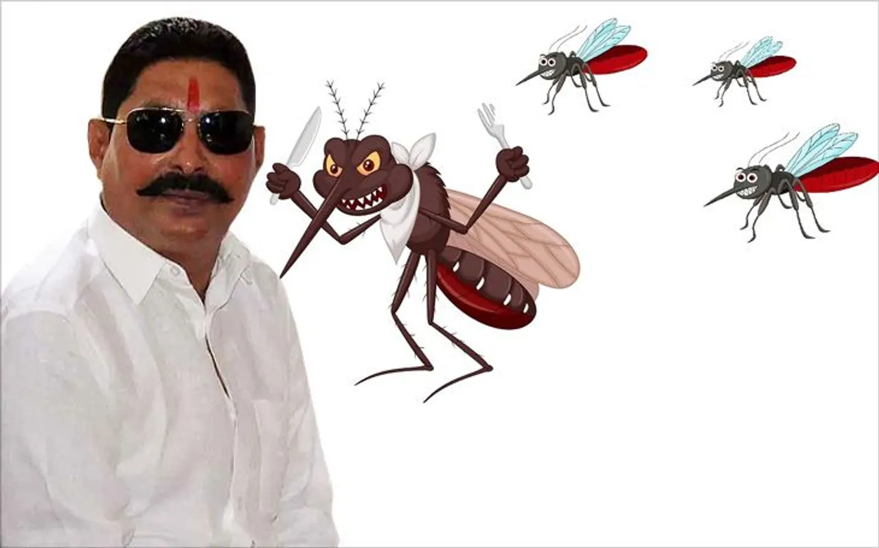 बाहुबली विधायक अनंत सिंह ने सुबह उठते ही मंगाया अखबार, पूरी रात मच्छरों से रहे परेशान