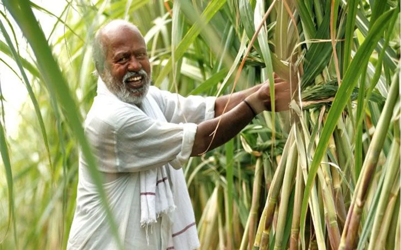 गन्ना किसानों को मोदी सरकार का बड़ा तोहफा, निर्यात पर सब्सिडी, खाते में आएगा पैसा