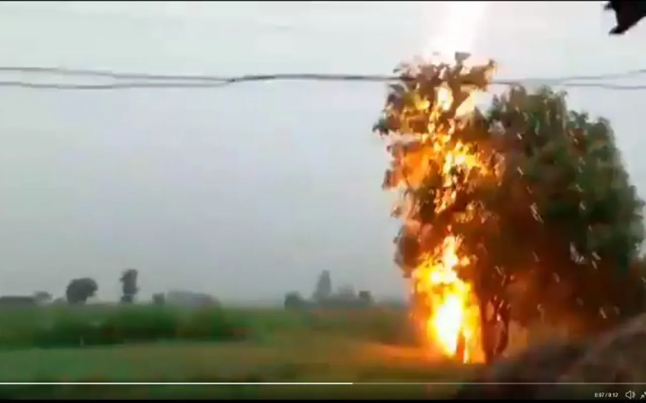 मध्य प्रदेश के पन्ना में पेड़ पर बिजली गिरने का VIDEO हो रहा है वायरल