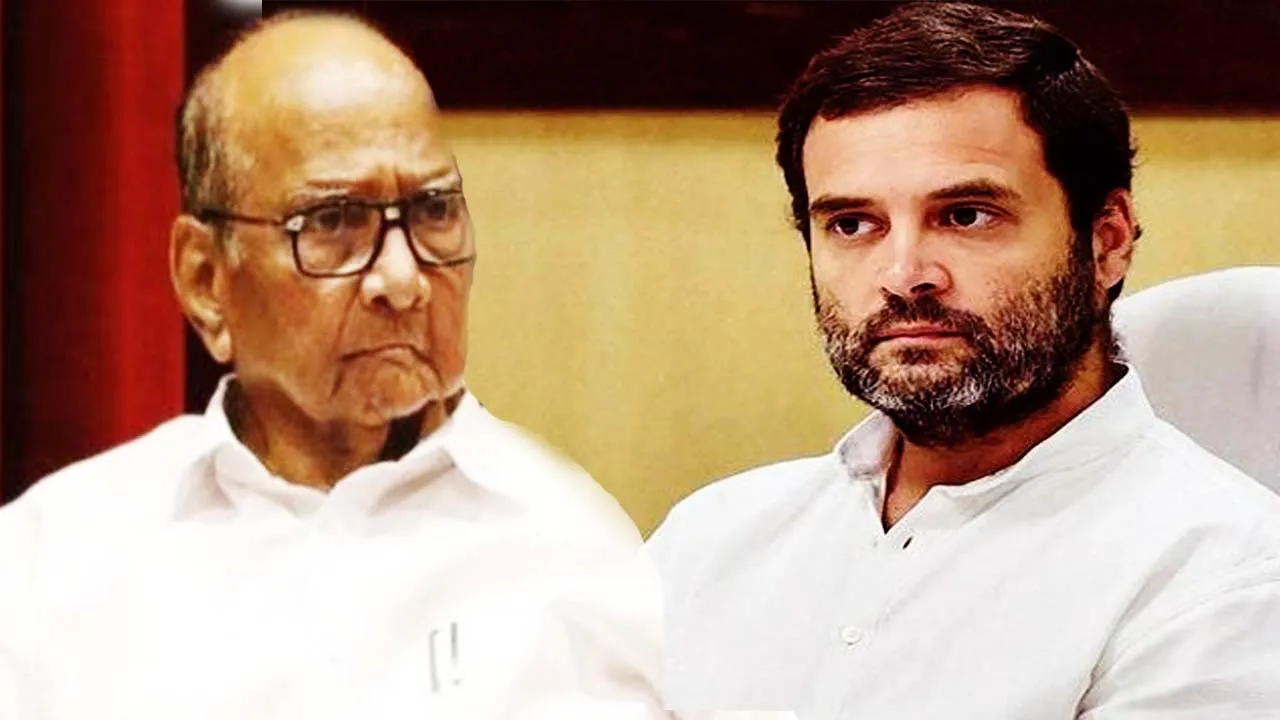 Rahul Gandhi  Sharad Pawar