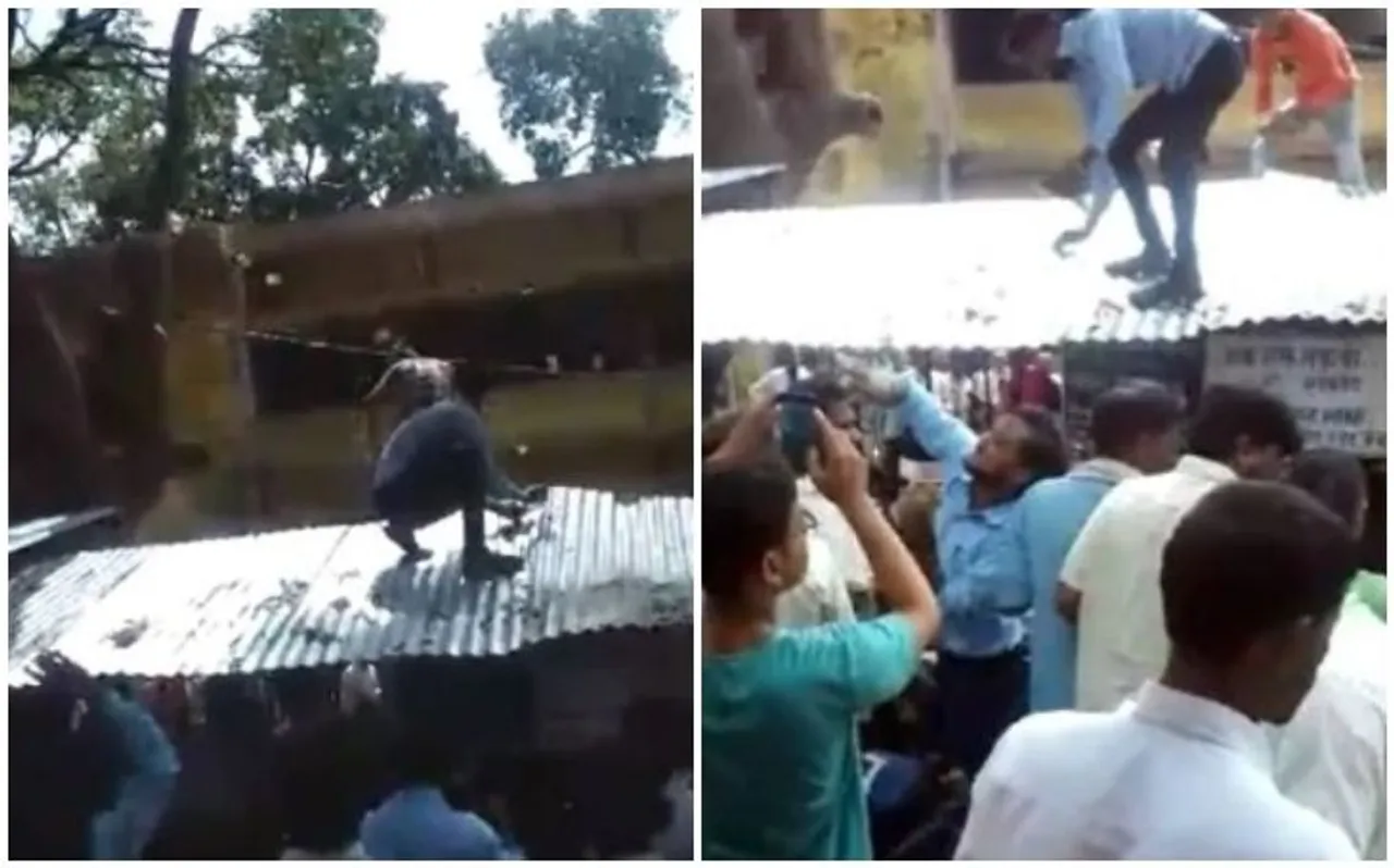 Video: उत्तर प्रदेश के बदायूं में हुई नोटों की बारिश, देखते ही देखते इकट्ठा हो गई सैकड़ों की भीड़