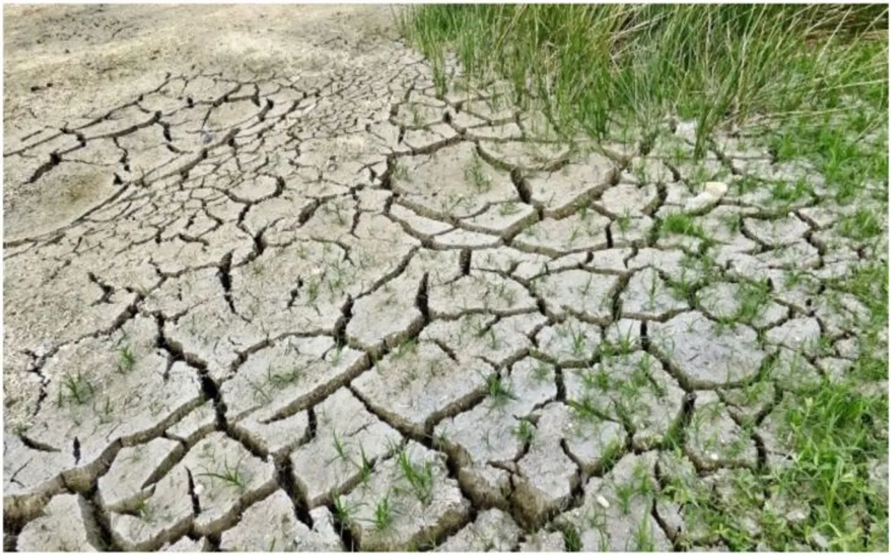 बिहार :70 साल के वृद्ध ने दिखाई लोगों को राह, सूखे खेतों में ला दी हरियाली