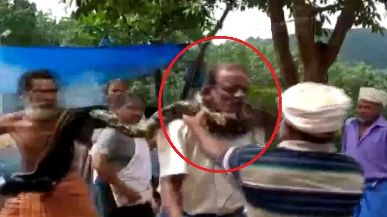 Video: बुजुर्ग की जान लेने के लिए 'यमराज' ने भेजा था अजगर, कैमरे में कैद हुई पूरी घटना