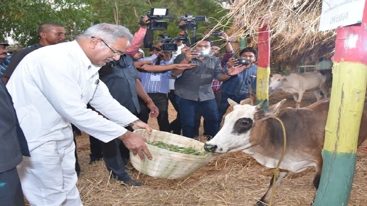 छत्तीसगढ़ का ग्राम समृद्धि मॉडल बना देश के लिए आकर्षण, जानें क्या है खास