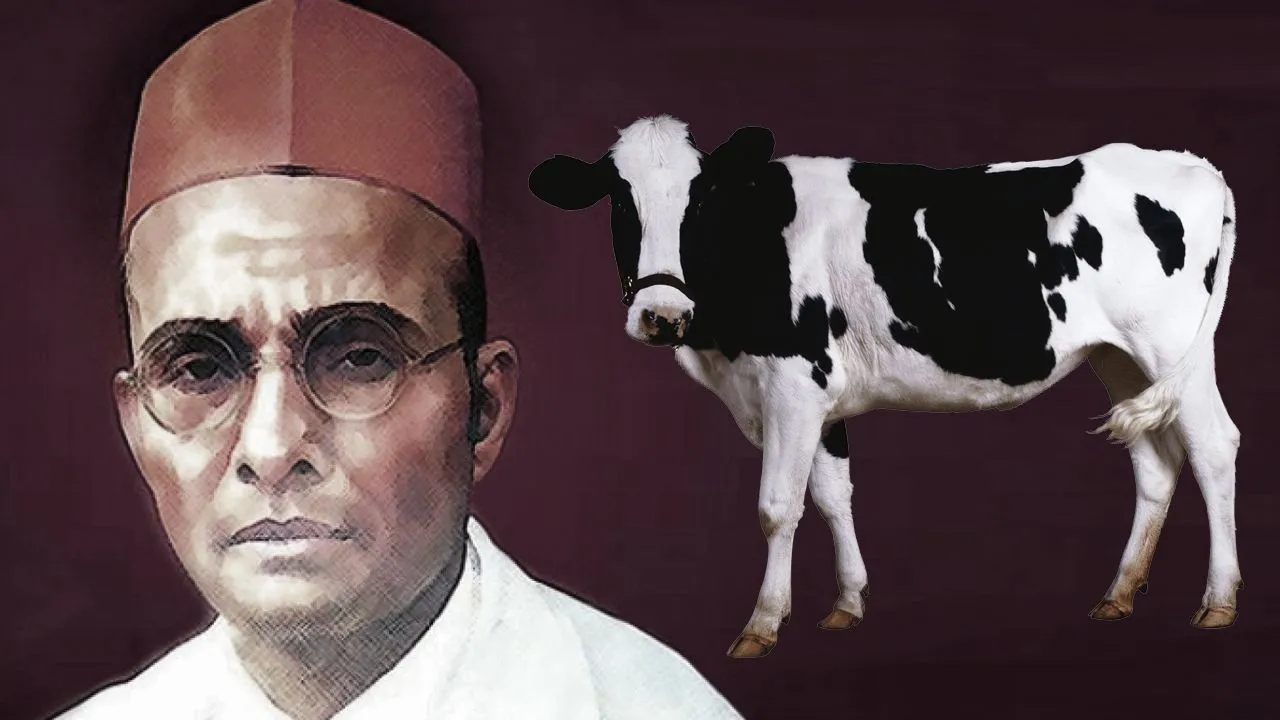 गाय की पूजा कोई अज्ञानी ही कर सकता है, जानें ऐसा क्यों कहा था सावरकर ने