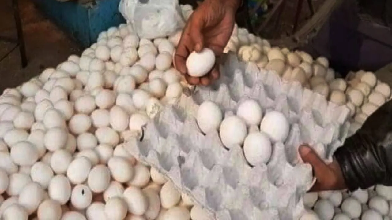 पति रोज नहीं खिला पाया अंडा तो प्रेमी के साथ भाग गई पत्नी