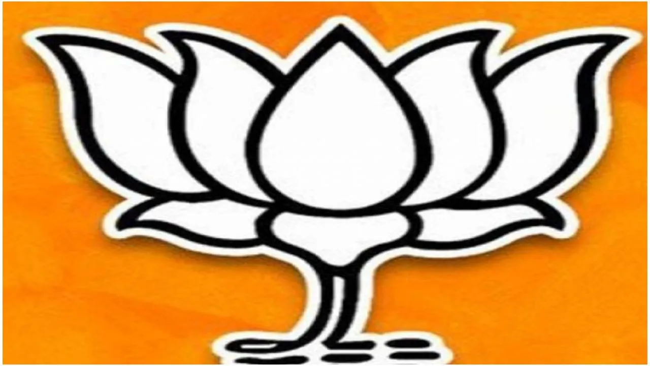 बीजेपी संठगन चुनाव से तय करेगी 2022 की जीत का रास्ता