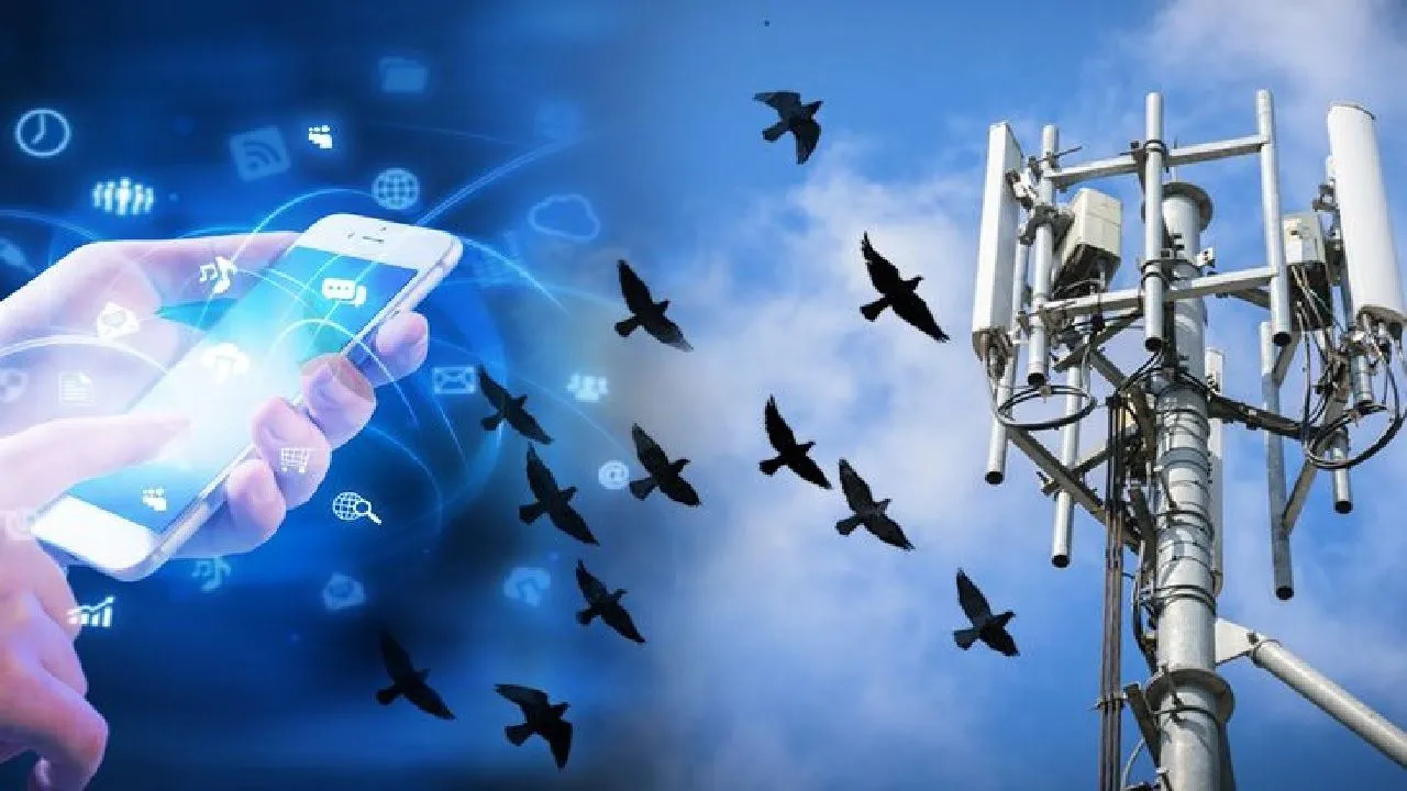 4g service in kashmir
