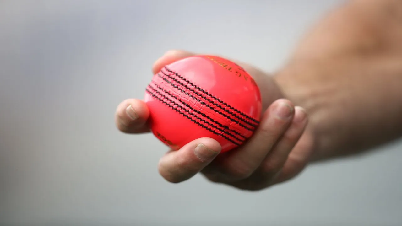 Day Night Test: टीम इंडिया के ये दो खिलाड़ी पहले ही खेल चुके हैं Pink Ball Cricket, अनुभव से मिलेगी टीम को मदद