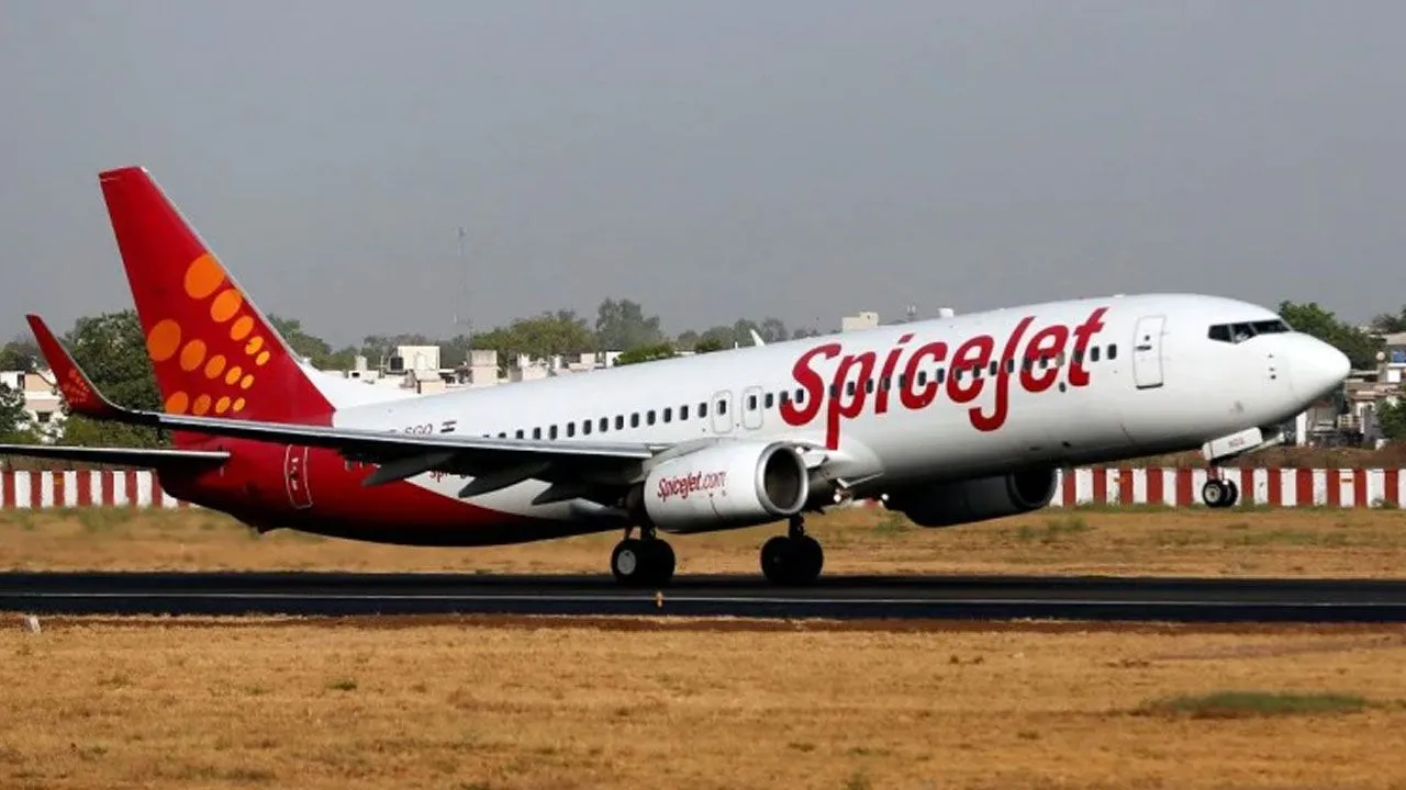 विमान में शख्स कर रहा था ऐसा काम, जानकर हो जाएंगे हैरान