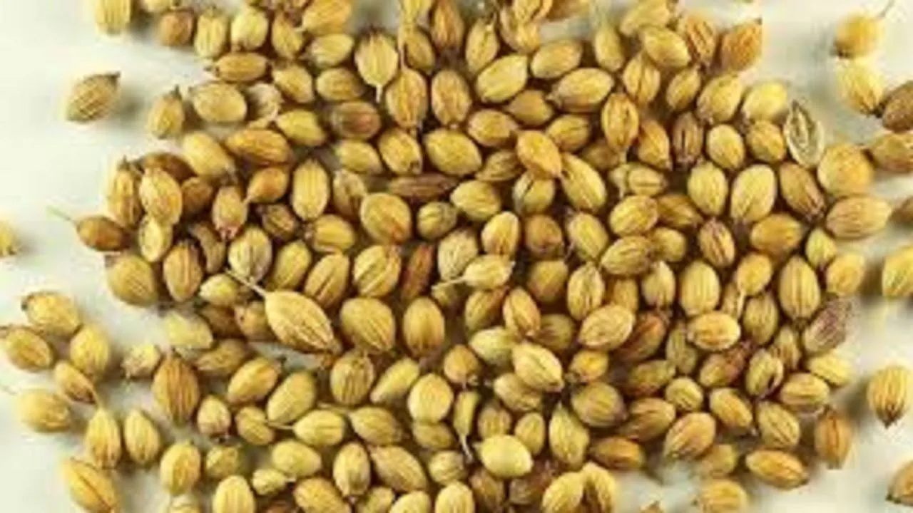 धनिया की कीमतों में मजबूती, स्टॉक घटने और मांग बढ़ने का असर