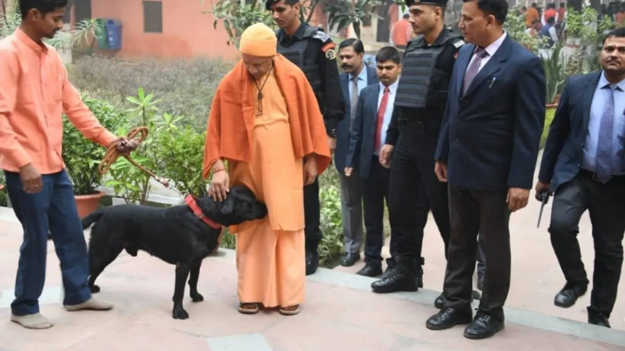 योगी आदित्यनाथ का पालतू कुत्ता बना 'इंटरनेट सेलिब्रिटी', जानिए इसका नाम