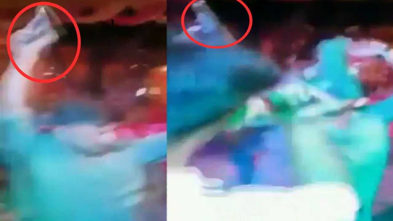 Video:डीजे पर झूमते-झूमते लड़कों ने लहराई बंदूक और ठांय-ठांय की आवाज से मच गई भगदड़