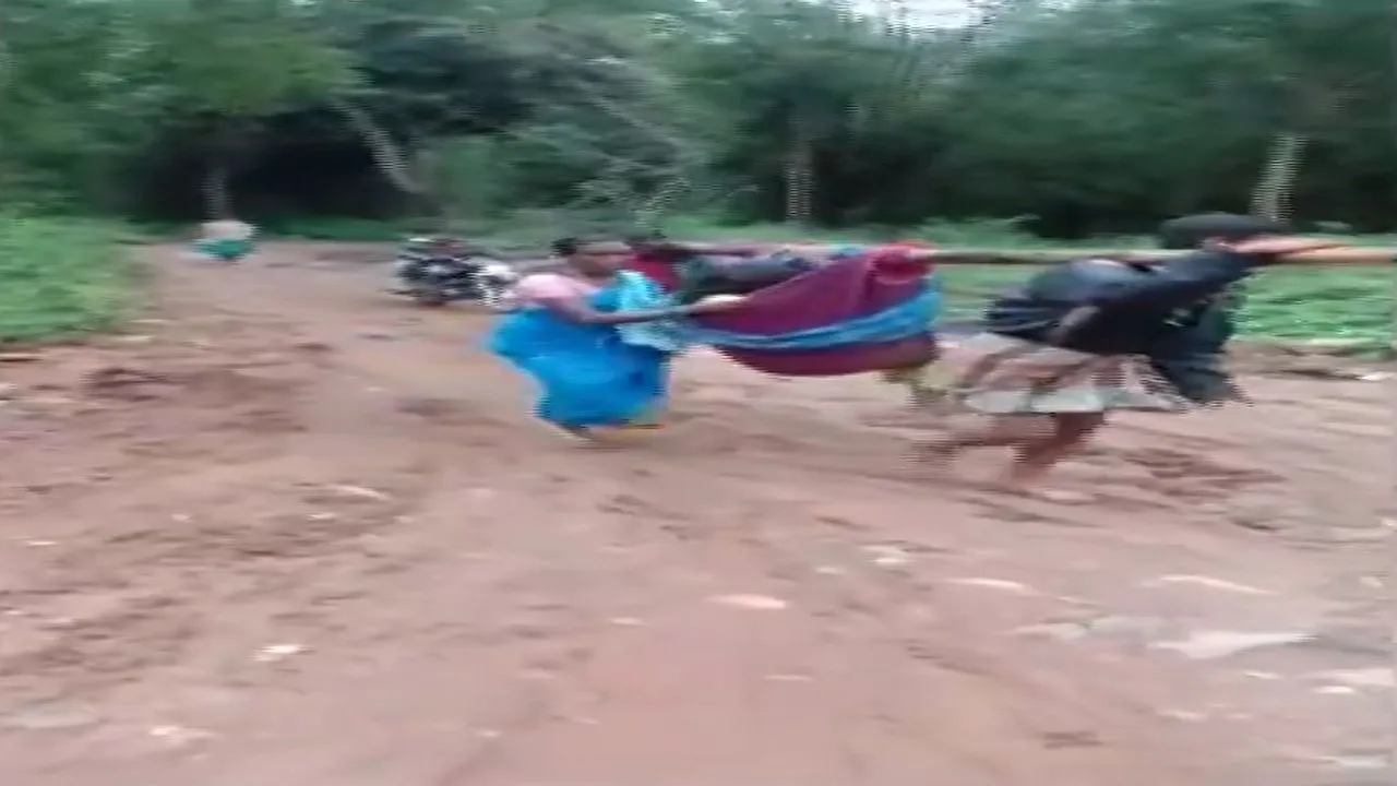 VIDEO: कहां है विकास? गर्भवती को कपड़े में टांगकर ले जा रहे थे अस्पताल, रास्ते में दिया लड़के को जन्म