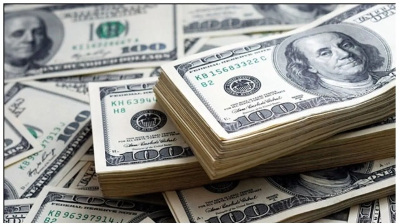 विदेशी मुद्रा भंडार (Forex Reserve) 452 अरब डॉलर की नई ऊंचाई पर पहुंचा