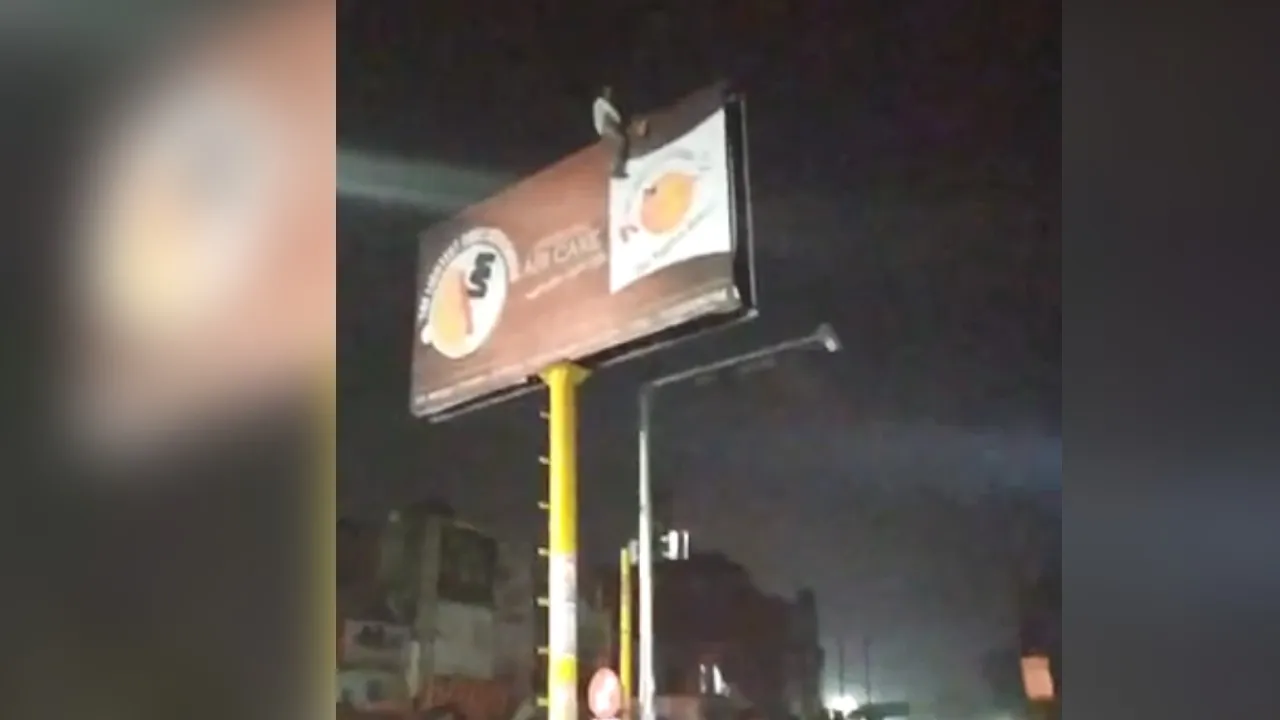 खंभे पर चढ़ा नशेड़ी, पुलिस ने शराब का लालच देकर नीचे उतारा, देखें VIDEO