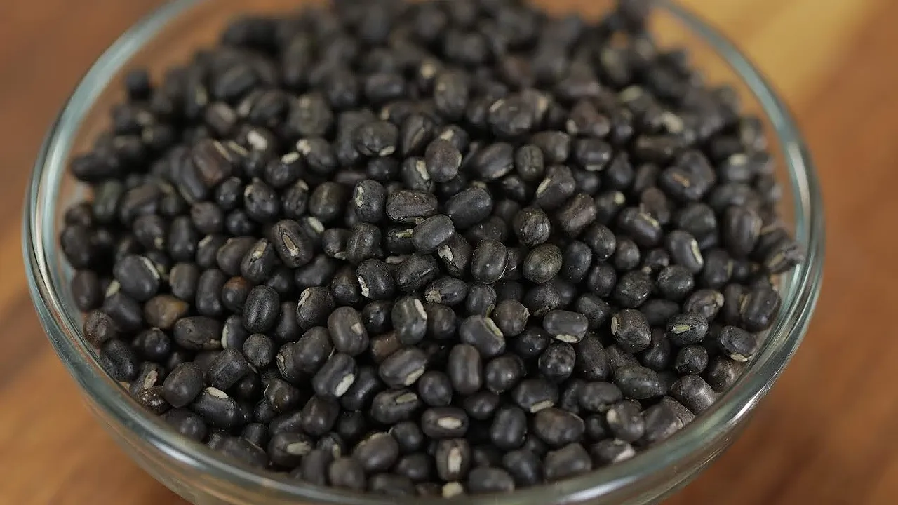उड़द (Urad) की सप्लाई बढ़ाने के लिए मोदी सरकार (Modi Government) की ये है बड़ी योजना
