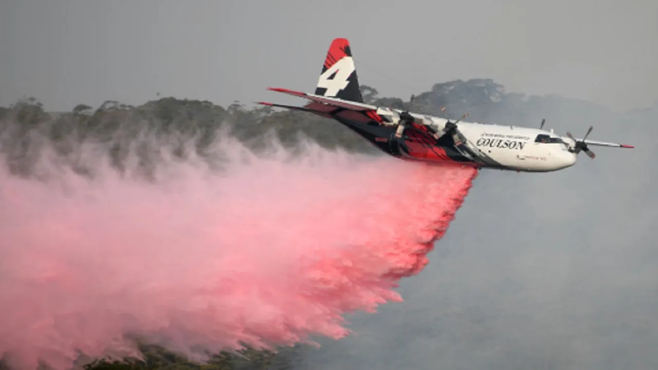 ऑस्ट्रेलिया में जंगल की आग बुझा रहा विमान दुर्घटनाग्रस्त, तीन अमेरिकियों की मौत