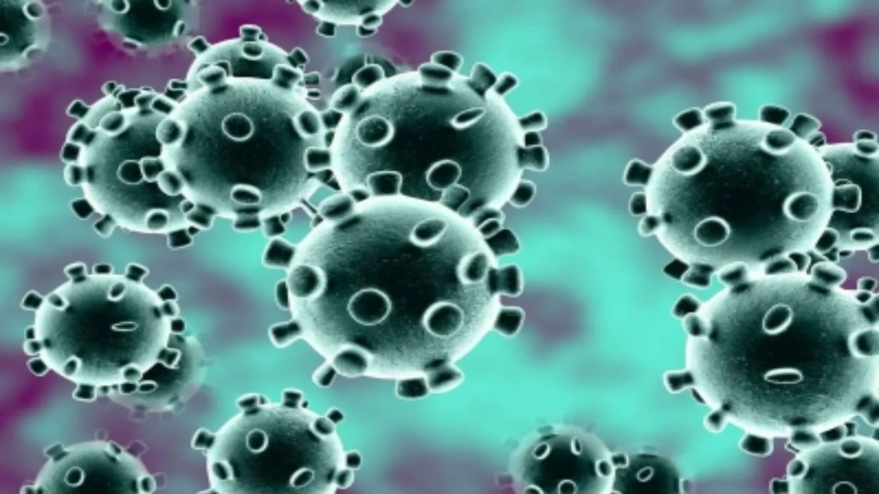 coronavirus