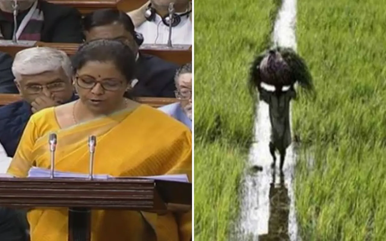 Union Budget 2020: किसानों की आय 2022 तक दोगुना करने के लिए सरकार ने लिए 16 बड़े फैसले