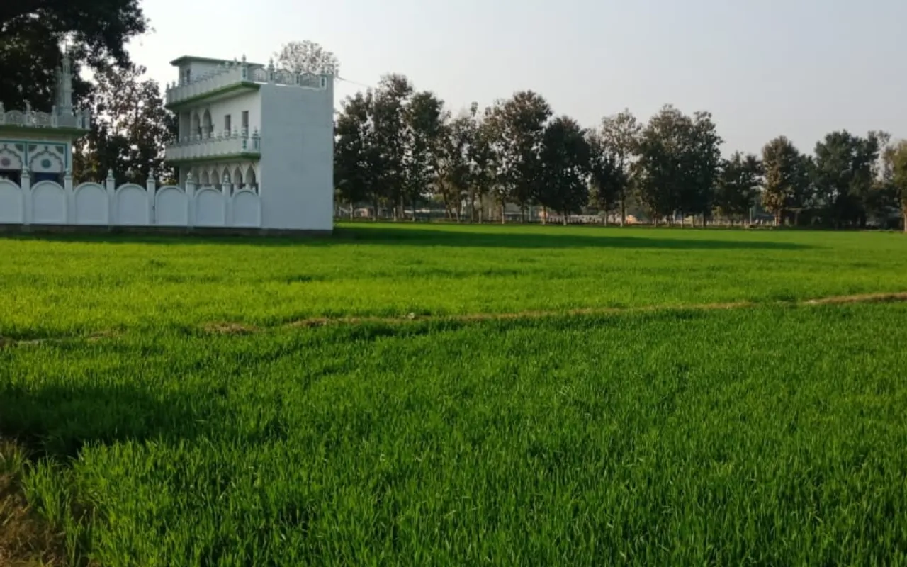 यही है वो जमीन जिसे मुस्लिम पक्ष को किया गया है आवंटित