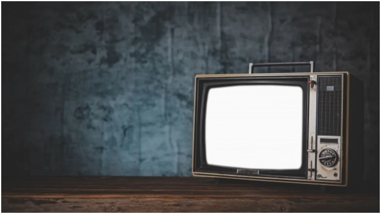 TV पर क्राइम पेट्रोल देखकर रची अपनी मां को मारने की साजिश, बोरे में भरकर नाले में फेंका